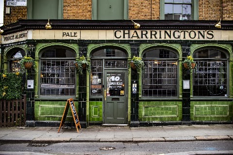 Prince Albert, Camden