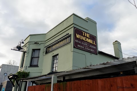 Windmill Inn