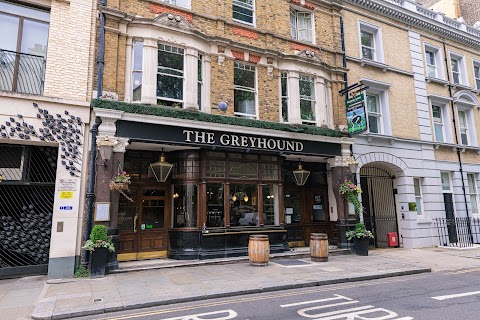 Greyhound