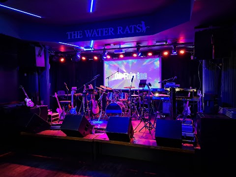 The Water Rats