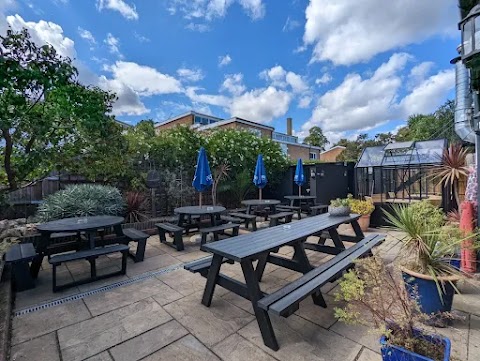 The Cocoanut, Kingston, Kingston upon Thames