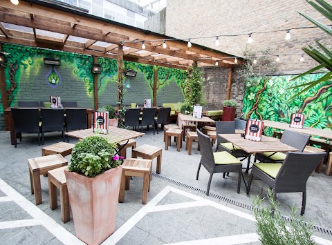 The Prince Albert, Kensington and Chelsea