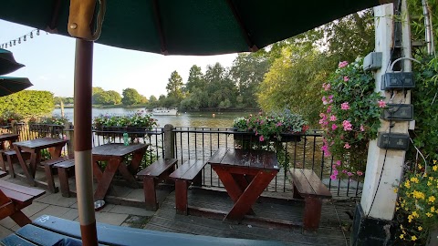 The White Swan