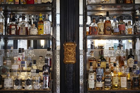 The Griffin