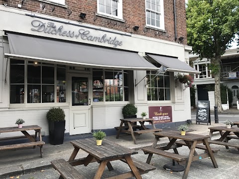 The Duchess W6